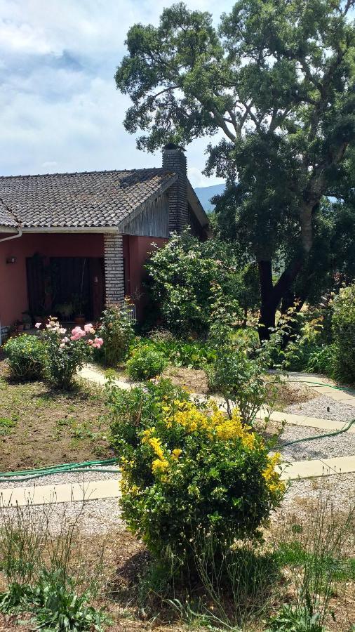 Ferienwohnung Vivenda Do Sobreiro Al Serpins Exterior foto