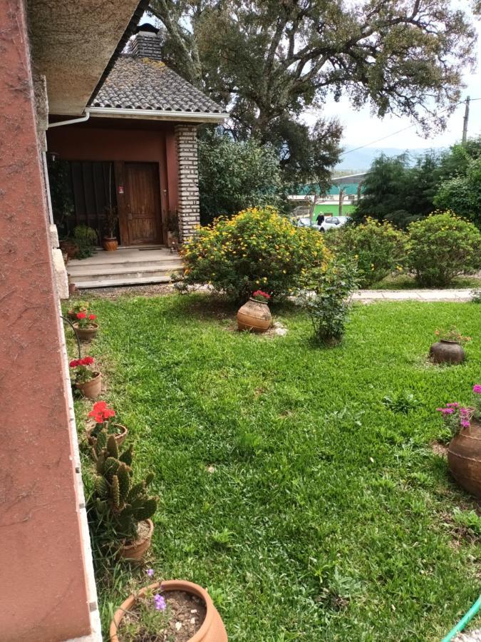 Ferienwohnung Vivenda Do Sobreiro Al Serpins Exterior foto